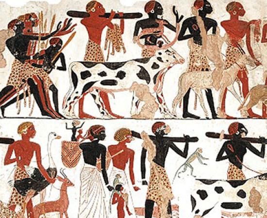 Ancient Agriculture