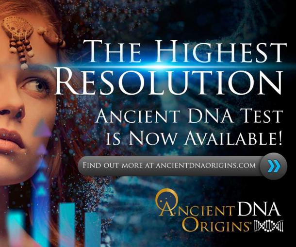 Ancient DNA Origins