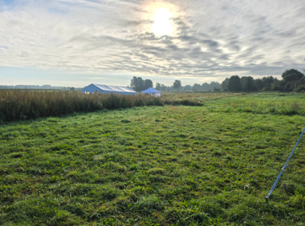 The Lüchow LA 11 site on the southwestern edge of today's Duvenseer Moor