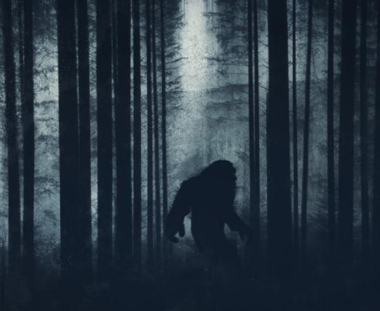 Mysterious Bigfoot figure in the forest. Source: Dave / Adobe Stock 