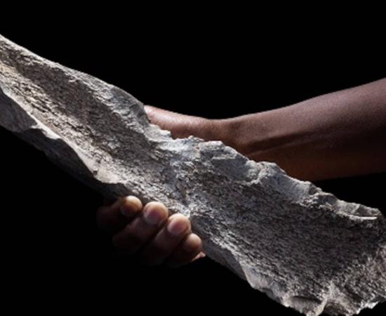 Tool made from an elephant’s humerus bone, found in Olduvai Gorge and dated to 1.5 million BC.