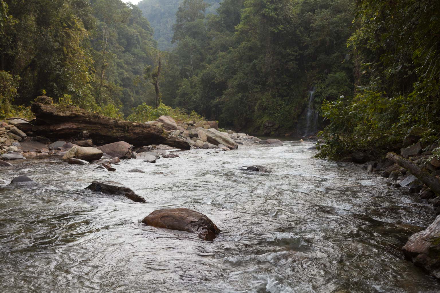 River at the foothill of Ciudad Perdida (Photo by Ancient-Origins.net)