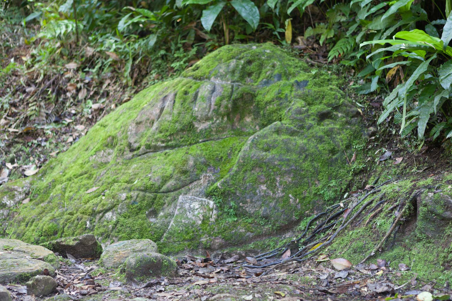Mountain Range Stone at Ciudad Perdida (Photo by Ancient-Origins.net)