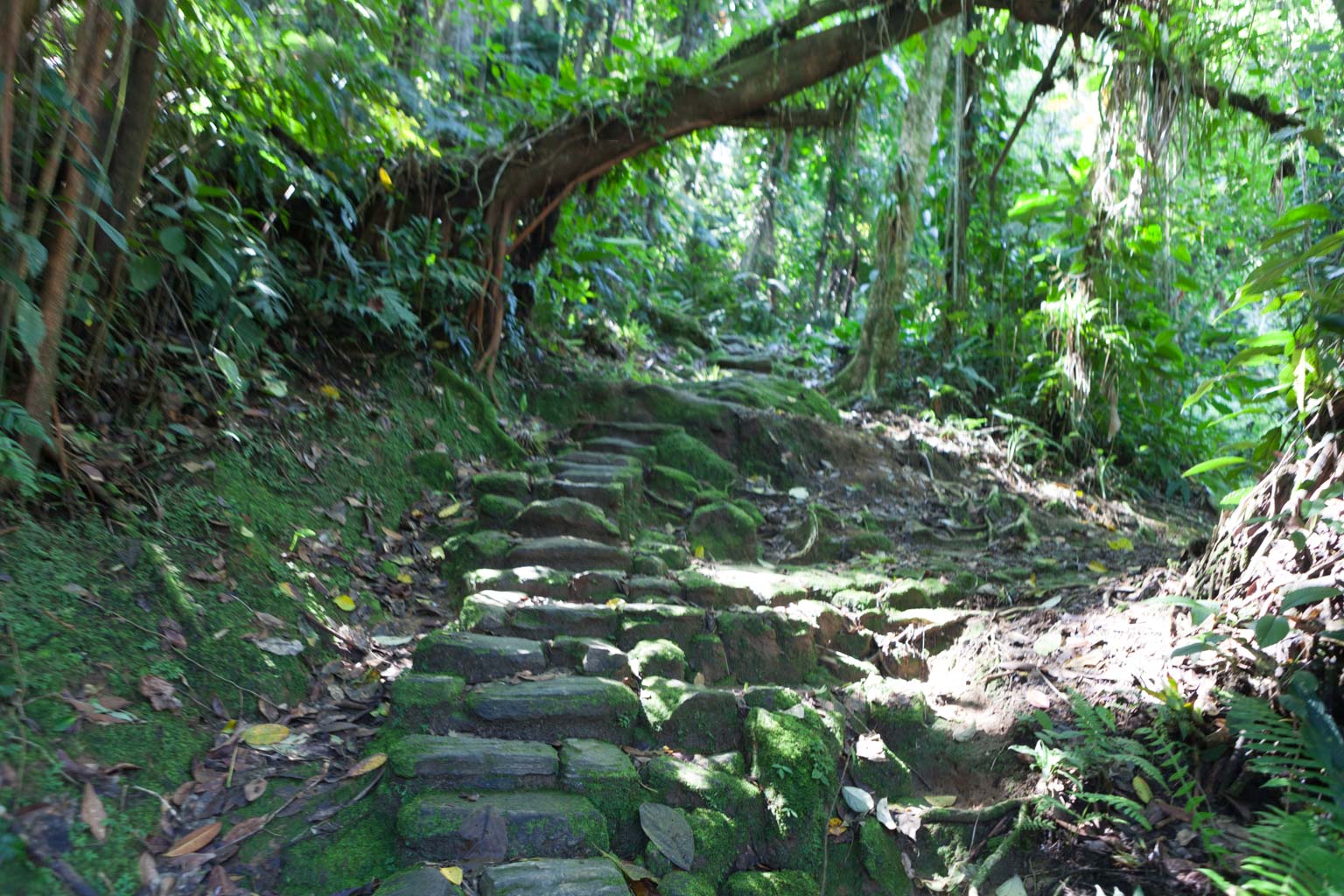 Ciudad Perdida (Photo by Ancient-Origins.net)
