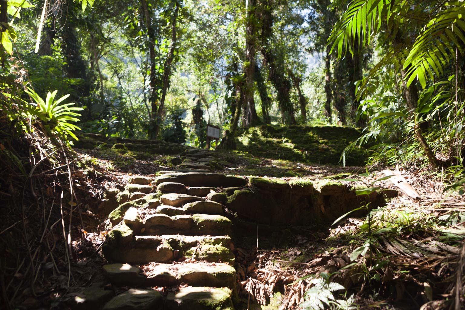 Ciudad Perdida (Photo by Ancient-Origins.net)