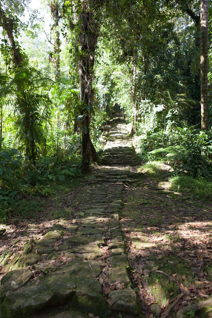 Long Path at Ciudad Perdida (Photo by Ancient-Origins.net)
