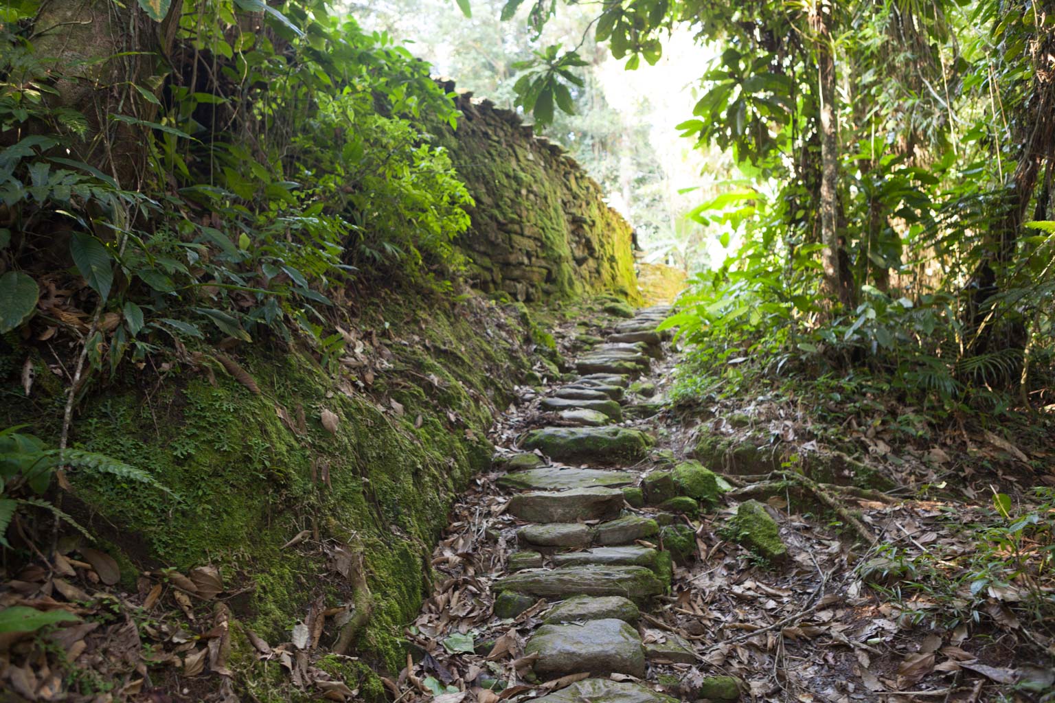 Ciudad Perdida (Photo by Ancient-Origins.net)