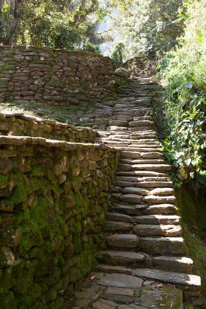 Path within Ciudad Perdida (Photo by Ancient-Origins.net)