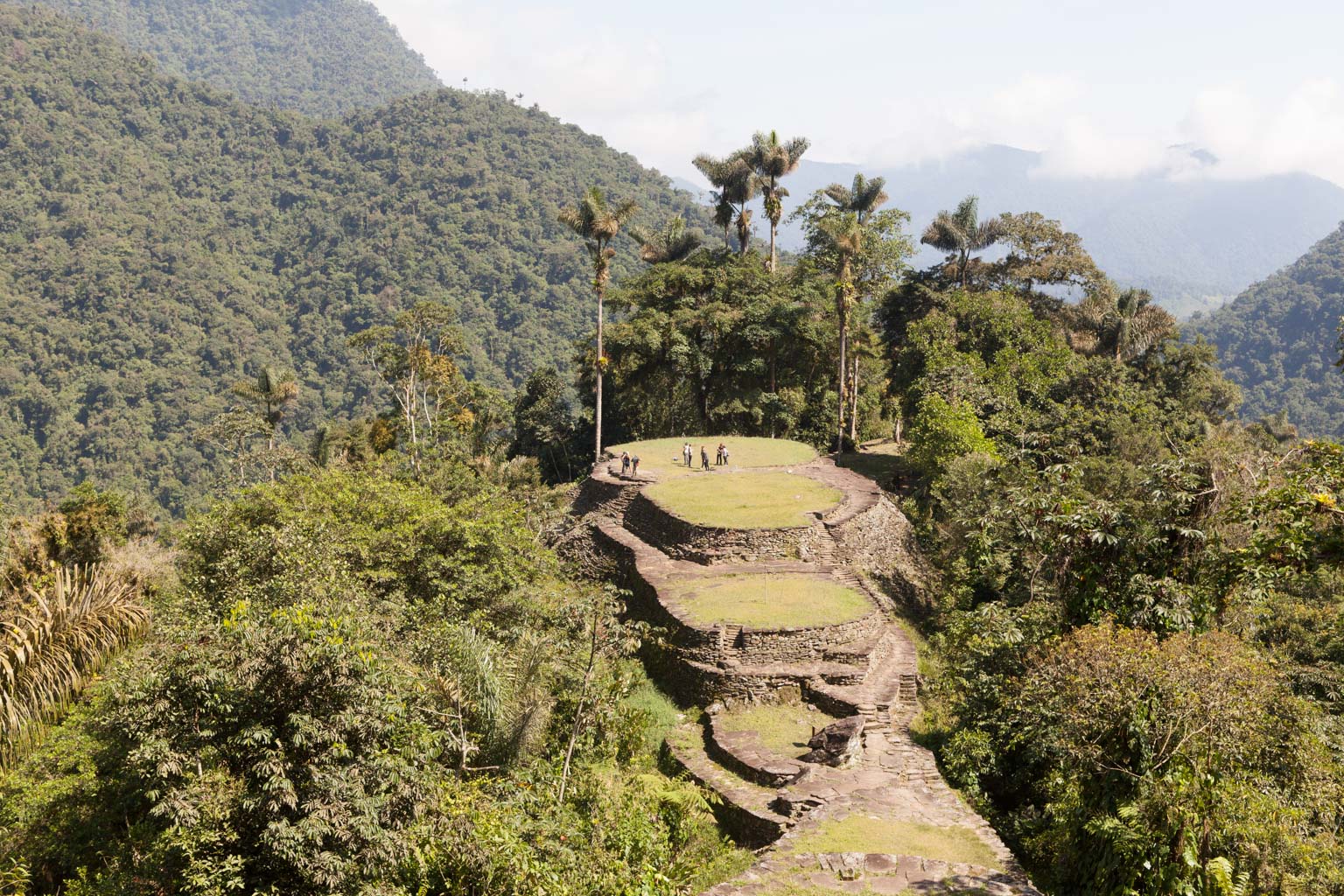 Ciudad Perdida from the top (Photo by Ancient-Origins.net)