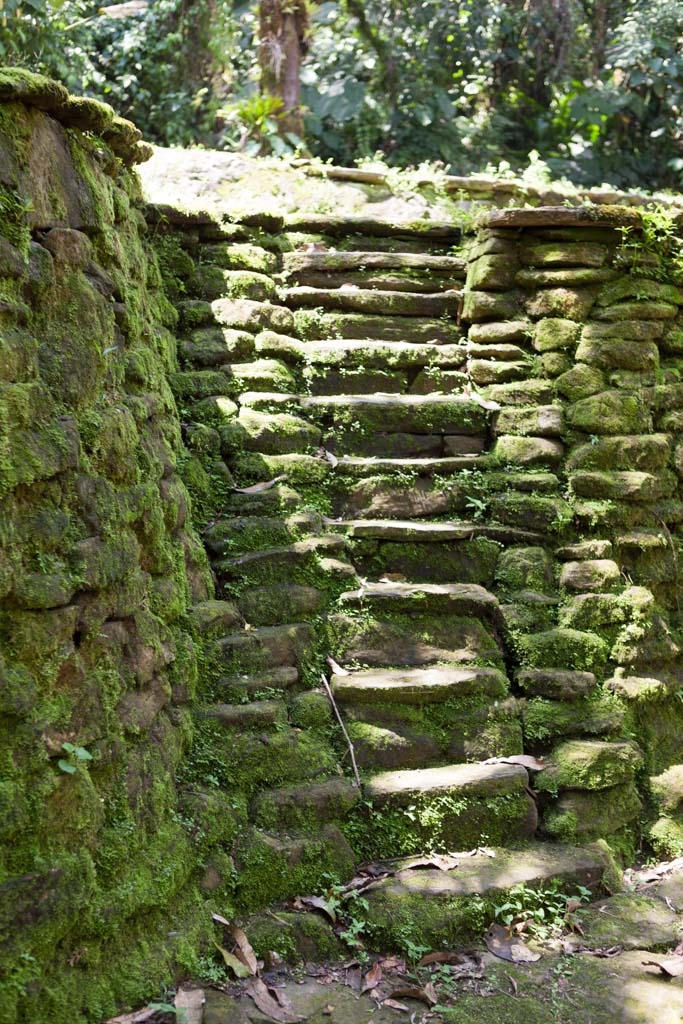 Steep steps at Ciudad Perdida (Photo by Ancient-Origins.net)