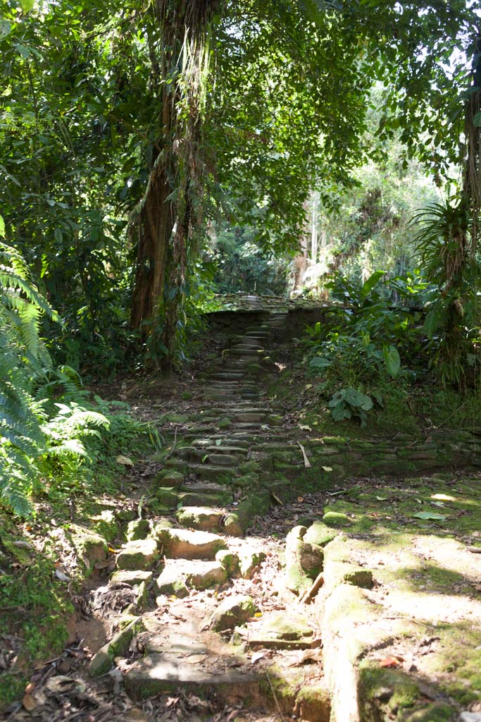 Ciudad Perdida (Photo by Ancient-Origins.net)