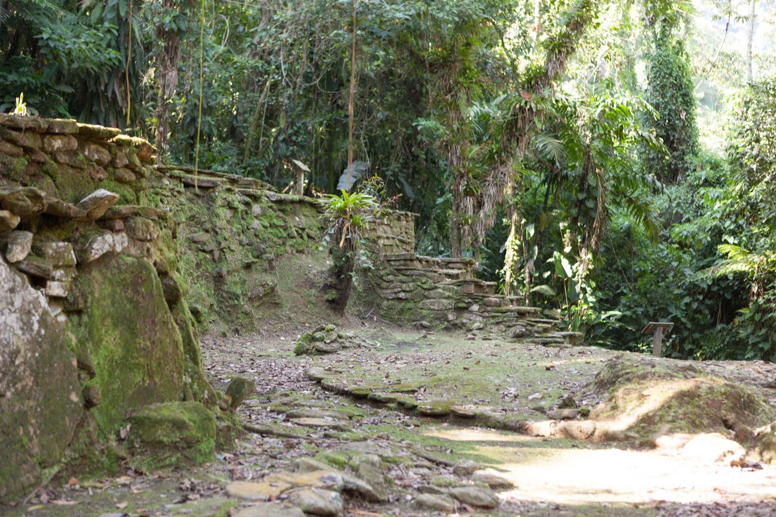 Ciudad Perdida (Photo by Ancient-Origins.net)
