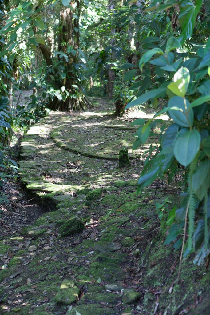 Ciudad Perdida (Photo by Ancient-Origins.net)