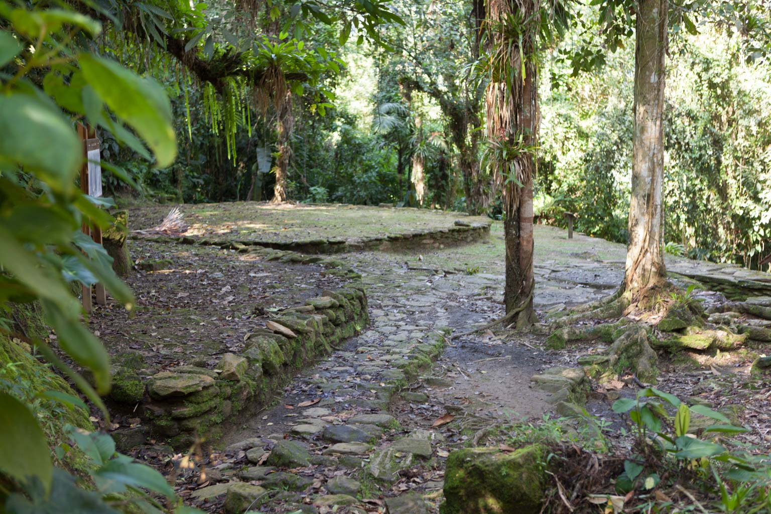 Ciudad Perdida (Photo by Ancient-Origins.net)
