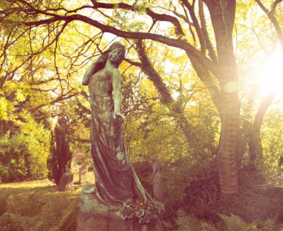 Statue in Danish graveyard, struck by golden sunlight.