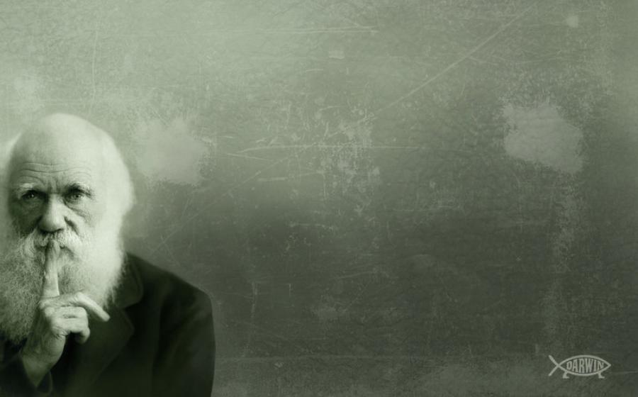 Darwin Theory
