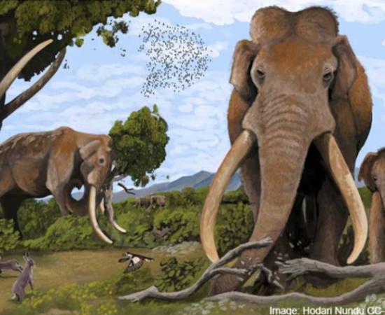 Artist's impression of straight-tusked elephants (Palaeoloxodon antiquus) in prehistoric Europe.