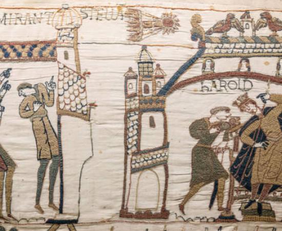 Observers of Halley's Comet on the Bayeux Tapestry