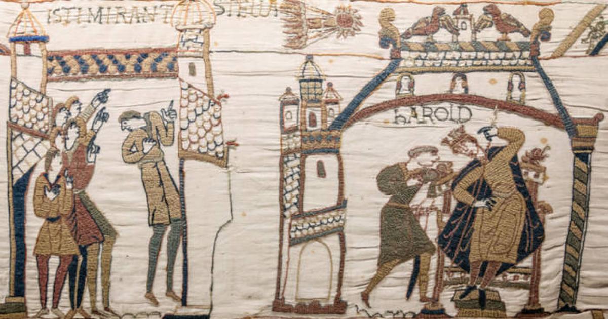 Observers of Halley's Comet on the Bayeux Tapestry