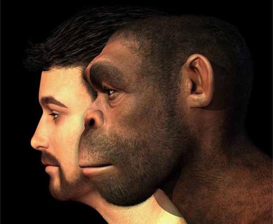 Modern human and Homo erectus man compared.   Source: AlienCat / Adobe Stock