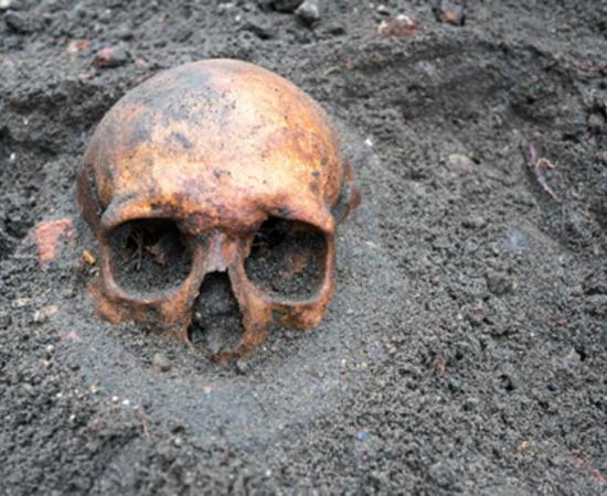 A 210,000-year-old human skull found in Greece suggests our species left Africa much earlier than previously thought.            Source: esben468635 /Adobe Stock