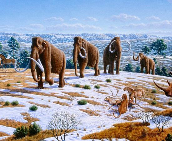 Ice Age fauna of northern Spain, digital illustration.