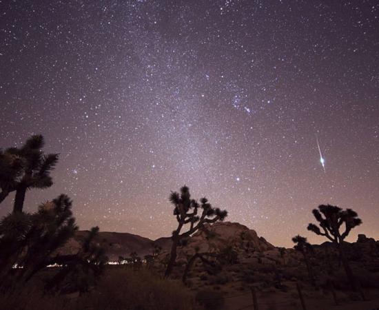 Taurid meteor shower, Joshua Tree, California, 2015.