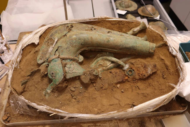  The carnyx, or trumpet being extracted from the hoard.