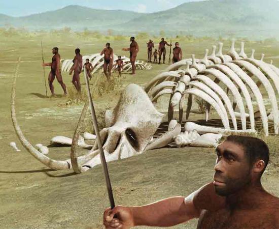 A tribe of human ancestors, Homo erectus, wanders through the savannah past mammoth skeletons. Source: ratpack223/Adobe Stock)