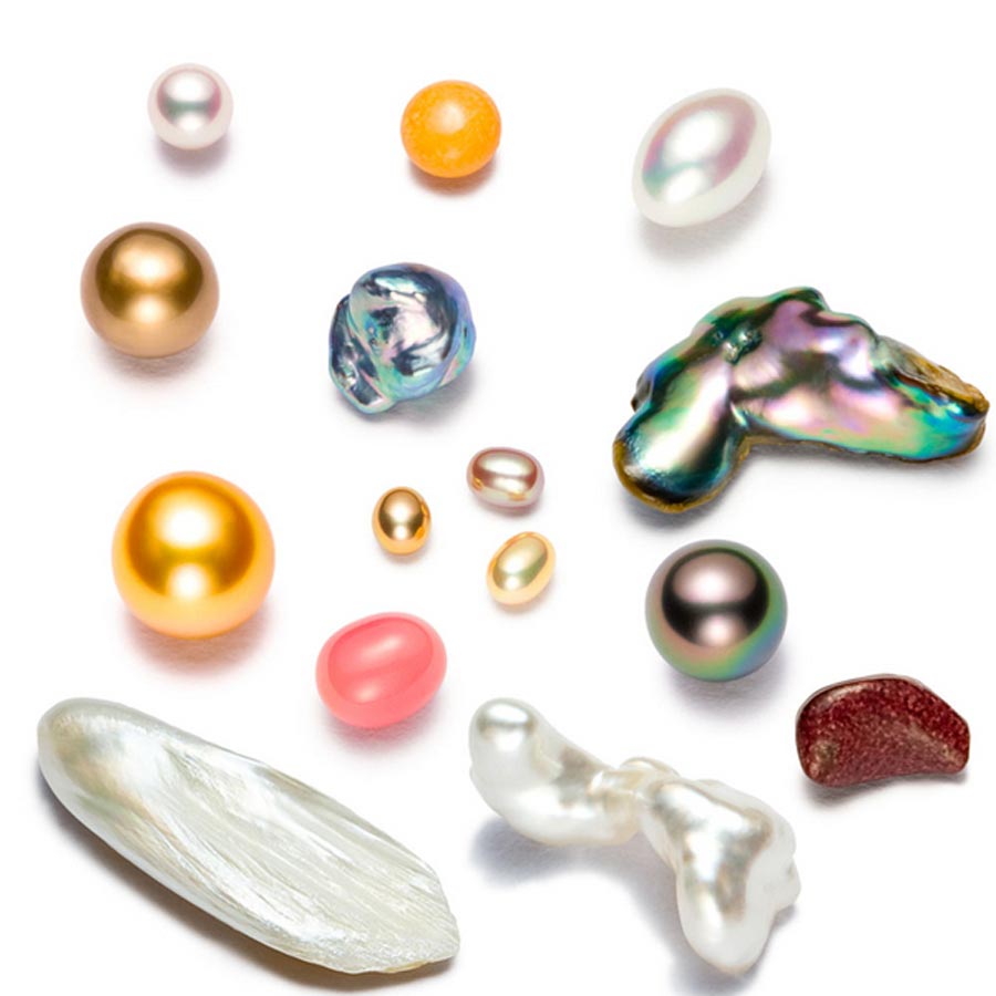 In the Cleopatra’s pearl story by Pliny, he also writes in great detail about remarkable facts connected with pearls and their nature. (MASAYUKI KATO / CC BY-SA 3.0)
