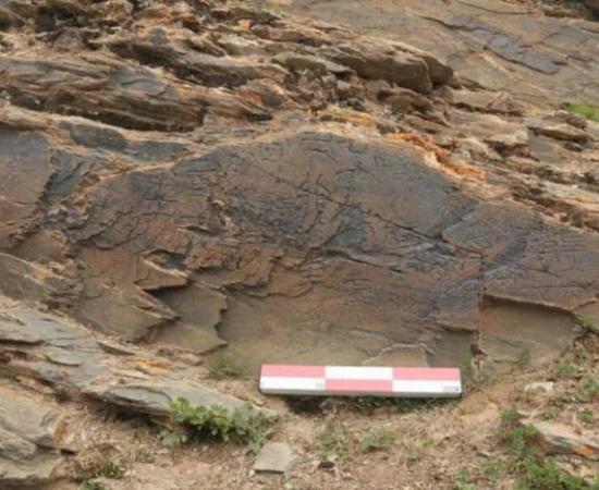 Rock inscription found on the Tibetan plateau found to describe a mission for the quest for immortality