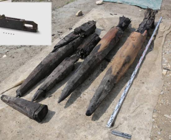 Dense oak piles from Roman bridge construction at Aegerten, Switzerland, with inset, Roman plane also found.