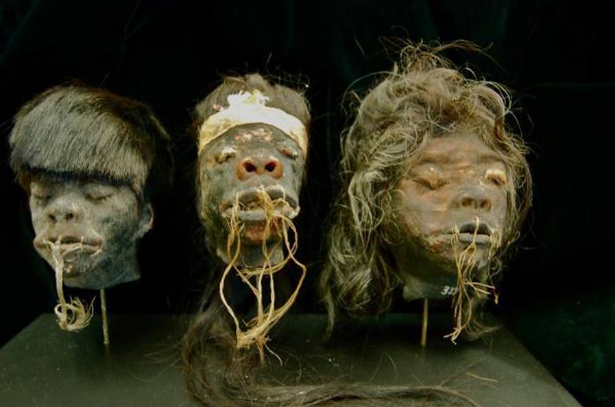 Shrunken Heads at the San Diego Museum of Man (Image: www.museumofman.org)