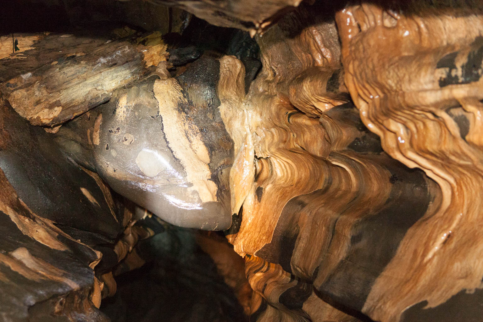 Rock formations in Tayos Cave